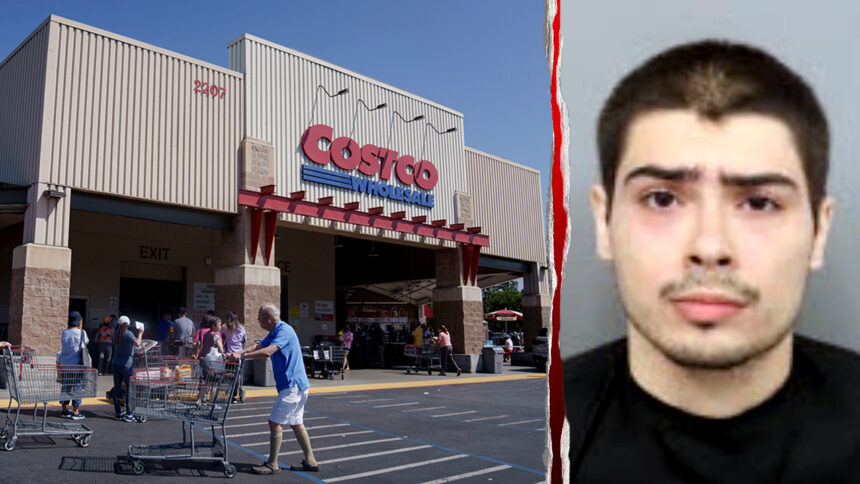 Armed suspect with machete, pickaxe detained by customers during Costco jewelry heist: reports