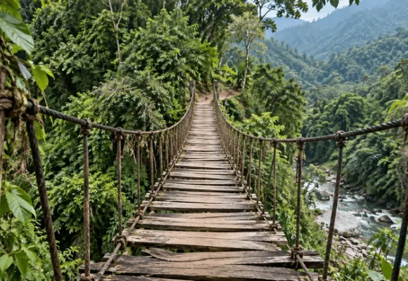 Deep in Mexico’s Jungle, Police Found 300 Crypto Miners Humming